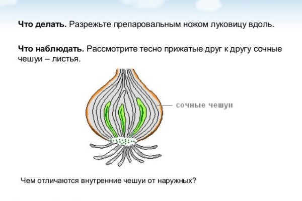 Как зарегистрироваться на сайте кракен